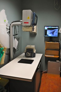Digitale röntgen is sneller klaar en beter in kwaliteit.